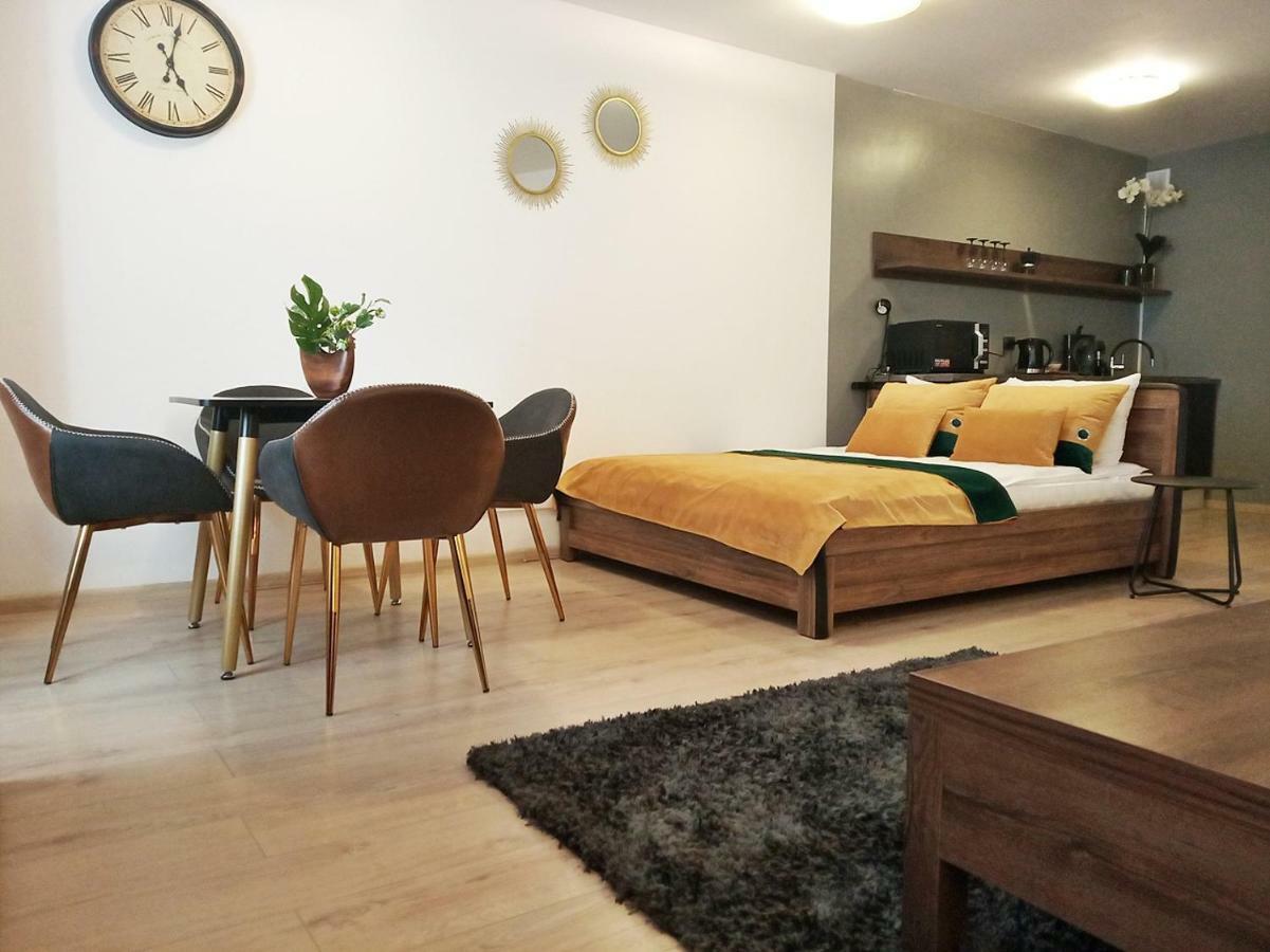 Апартаменты Downtown Studio Зелёна-Гура Экстерьер фото
